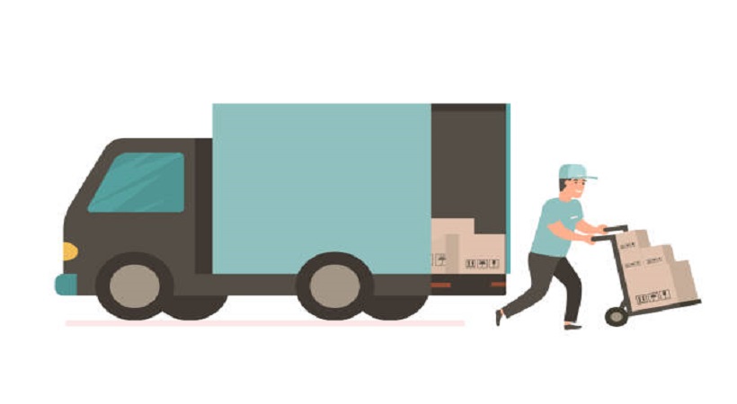 Domestic Shifting